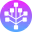SDR